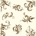 Set of swirl floral ornament