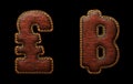 Set of symbols lira and baht made of leather. 3D render font with skin texture isolated on black background.