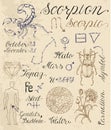 Set of symbols for zodiac sign Scorpion or Scorpio Royalty Free Stock Photo