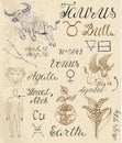Set of symbols for zodiac sign Taurus or Bull Royalty Free Stock Photo