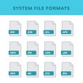 Set of system File Formats and Labels in flat icons style. Vector illustration