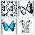 Set for t-shirt design seamless pattern the butterfly blue Royalty Free Stock Photo