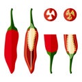 Set with whole, half, quarter, slices of Tabasco Peppers. Hot peppers. Capsicum annuum. Chili pepper. Fresh, organic