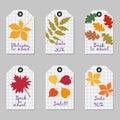 Set of tags with tree leaves. School background. Royalty Free Stock Photo