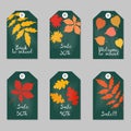 Set of tags with tree leaves. Royalty Free Stock Photo