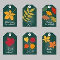 Set of tags with tree leaves. Royalty Free Stock Photo