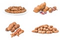 Set of Tamarind isolated over a white background Royalty Free Stock Photo