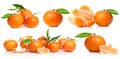 Set tangerine with green leaves. Collection fresh