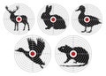 Set targets for animal shooting. Training hunting. vector