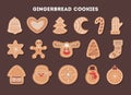 Set of tasty delicious gingerbread cookie for christmas