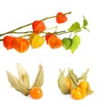 Set with tasty ripe physalis fruits on white background Royalty Free Stock Photo