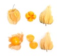 Set with tasty ripe physalis fruits on white background, top view Royalty Free Stock Photo