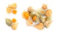 Set with tasty ripe physalis fruits on white background, top view Royalty Free Stock Photo