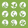 Set of tea bush branches. Vector silhouette in circle isolated on green background Royalty Free Stock Photo