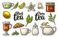 Set tea with lettering. Vector vintage engraving Royalty Free Stock Photo