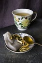 Set of tea, vintage silver spoons, various of tea and cup of tea