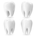 Set teeth, 3d concept dental care isolated on white with shadow, for your design project, 3D rendering