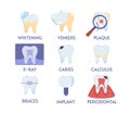 Set of teeth procedures vector Royalty Free Stock Photo