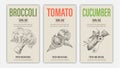 Set of template for branding, cover package, banner, card, label with broccoli, tomato and cucumber in retro vintage hand drawn or