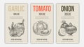 Set of template for branding, cover package, banner, card, label with garlic, tomato and onion in retro vintage hand drawn or