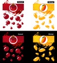 Set template icon of fruit, garnet and mango