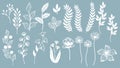 Set template for laser cutting and Plotter. Flowers, leaves for decoration. Vector illustration. Sticker set. plotter and screen