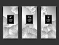 Set Template for package from Luxury background with  leaves  in silver black white Royalty Free Stock Photo