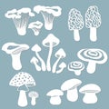 Set templates mushrooms for to cut with a laser from paper. White mushroom, the fly agaric, chanterelles, volnushki, mushrooms, Royalty Free Stock Photo