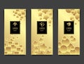 Set Templates for package from Luxury background made by geometric forms gold