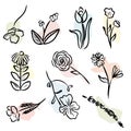 Set of ten beautiful flowers vector image