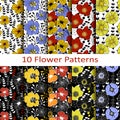Set of ten flower patterns Royalty Free Stock Photo