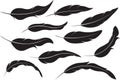 Set of ten vector silhouette of feathers