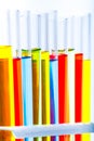 Set of test lab tubes with color liquid on stand Royalty Free Stock Photo