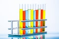 Set of test lab tubes with color liquid on stand Royalty Free Stock Photo