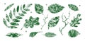 Set of texture green leaves. Vector grunge modern textured brush stroke, scribbled. Abstract plant print. Doodle hand drawn natura Royalty Free Stock Photo