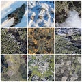 Set of texture of stones covered with lichen. Lichen patterns on a rock surface. Royalty Free Stock Photo