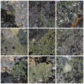 Set of texture of stones covered with lichen Royalty Free Stock Photo