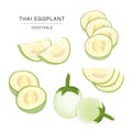 Set of Thai Eggplant Vegetable Slices. Organic and healthy food isolated element Vector illustration.