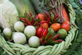 Set of thai vegetable Royalty Free Stock Photo