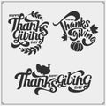 Set of Thanksgiving Day emblems, labels and design elements for greeting cards.