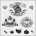 Set of Thanksgiving Day emblems, labels and design elements for greeting cards.