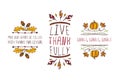 Set of Thanksgiving elements and text on white background Royalty Free Stock Photo