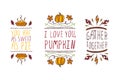 Set of Thanksgiving elements and text on white background