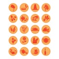 Set of thanksgiving icons. Vector illustration decorative background design Royalty Free Stock Photo