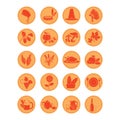 set of thanksgiving icons. Vector illustration decorative design