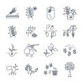 Set of thin line icons plant, herb, grower, coffee, beans