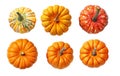 Set of thre pumpkins Royalty Free Stock Photo