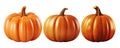 Set of thre pumpkins Royalty Free Stock Photo