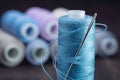 Set of threads of pastel tones on reels, in foreground coil of blue threads with large needle.