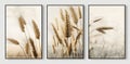 A set of three abstract creative hand-painted golden wheat ears art illustrations Royalty Free Stock Photo
